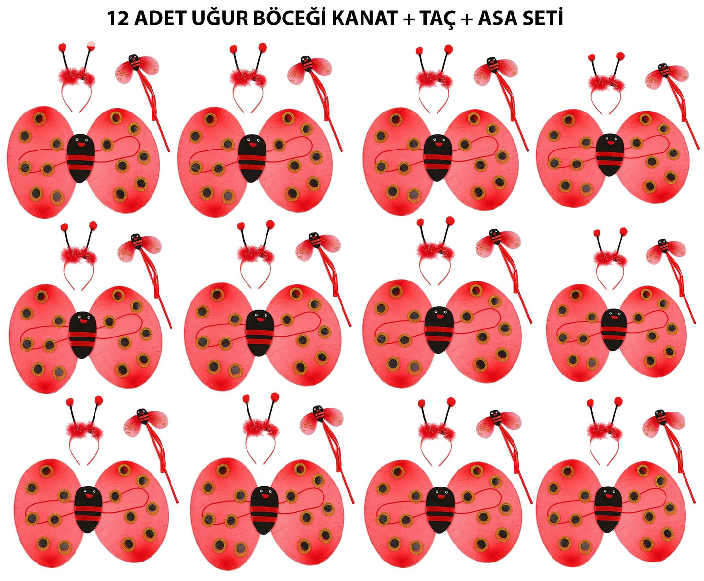 Uğur Böceği Kostüm Seti - Kanat, Taç, Asa 12 Adet