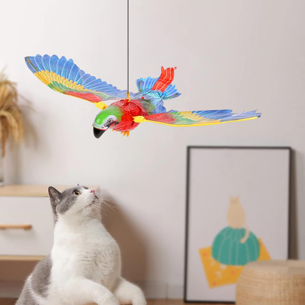 Uçan Papağan Kedi Oyuncağı